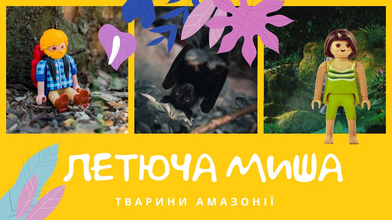 Летюча миша. Тварини Амазонії | КоМарко