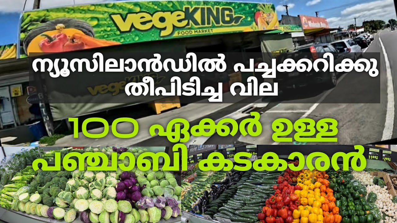 ന്യൂ സിലാൻഡിലെ ജീവിത ചിലവ് കുടന്നു|farmer|Mallu Vlog| New Zealand Malayalam Vlog | New Zealand mallu