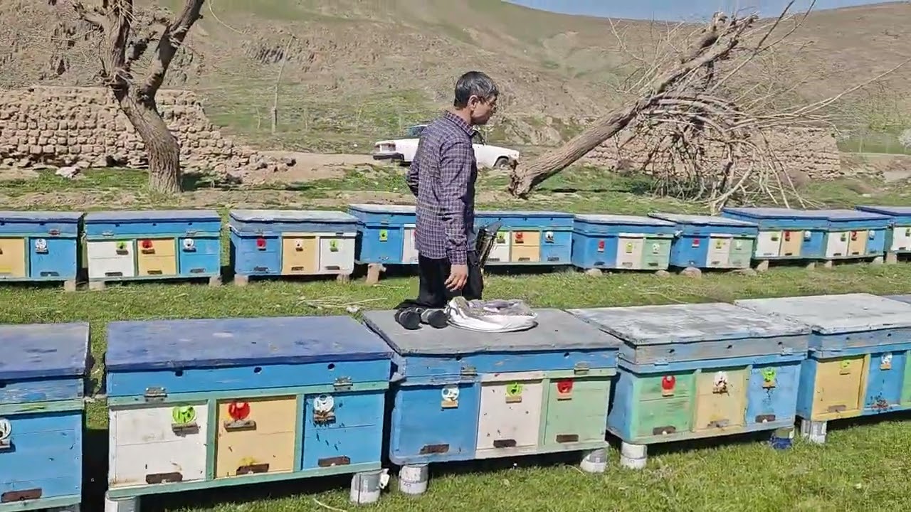 Tajribadagi ishlar. 2 onalik oila 1-qism