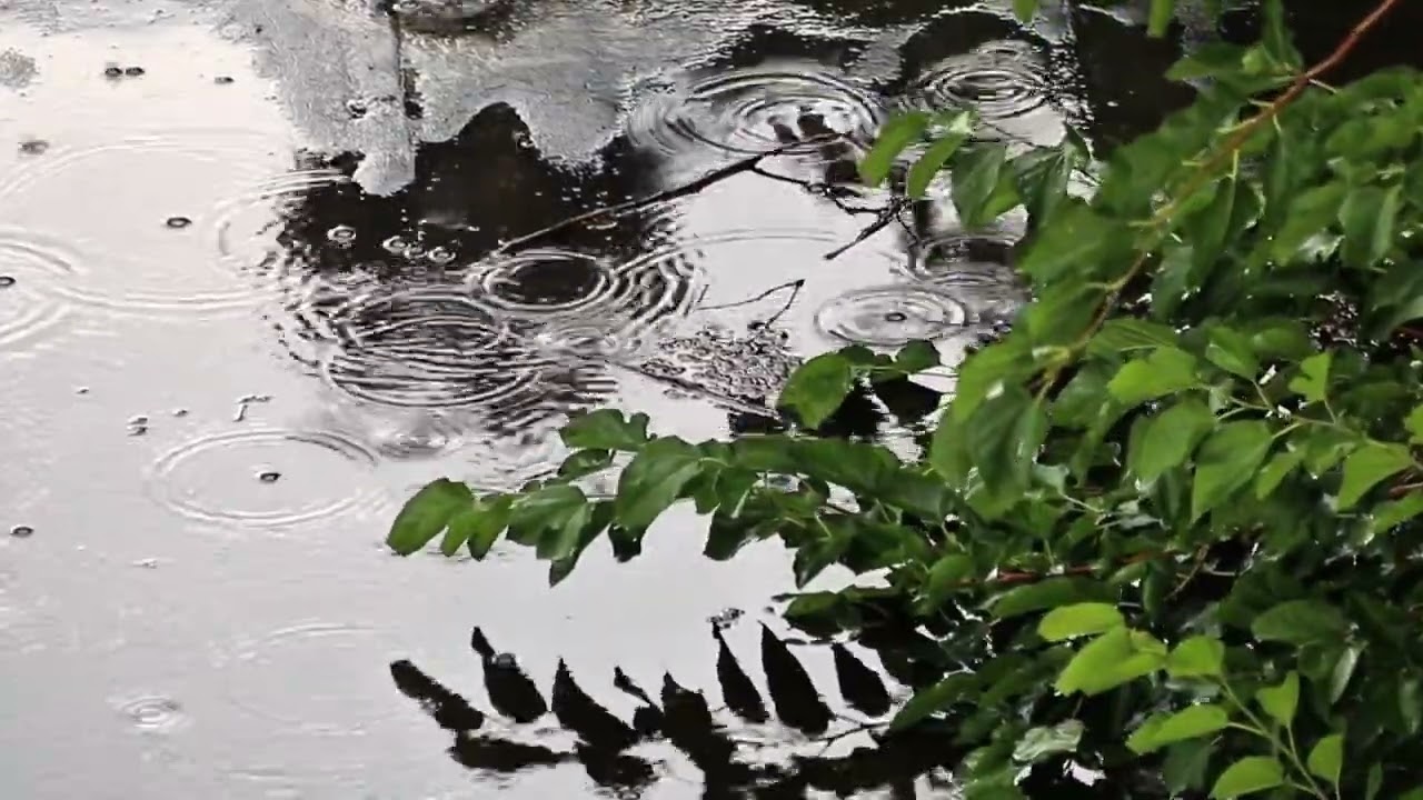 Som de Chuva para Sono Profundo | Relaxe, Durma e Acalme a Mente.
