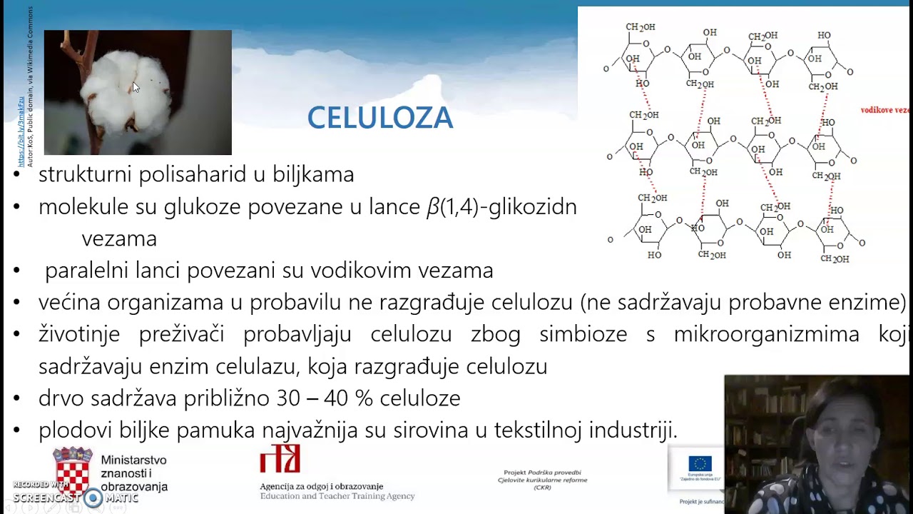 Kemija, 4. r. SŠ - Polisaharidi