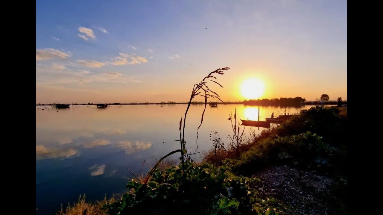 Le Valli di Comacchio in e-bike: Fenicotteri Rosa, Argine degli Angeli e Tramonto spettacolare! 🌅