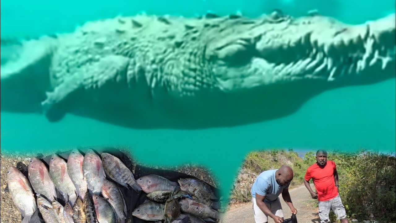 What  we encounter while hunting for fish catch and roast