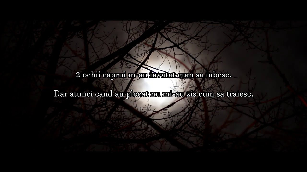 Yenic - 