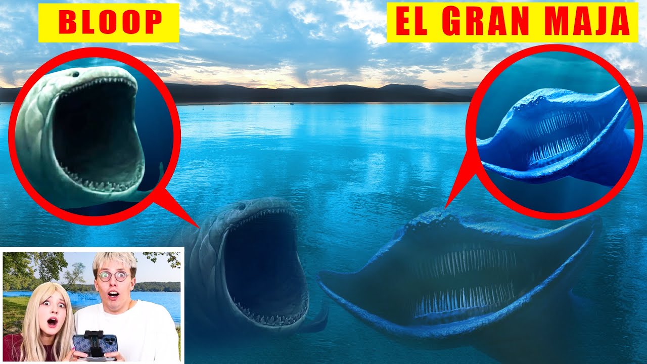 OMG! MY DRONE CAUGHT on Camera EL GRAN MAJA vs BLOOP in Real Life !!