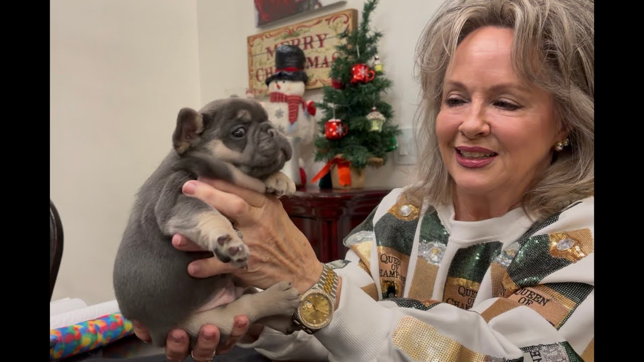 Love My Pups live Q&A session SunMarch 15