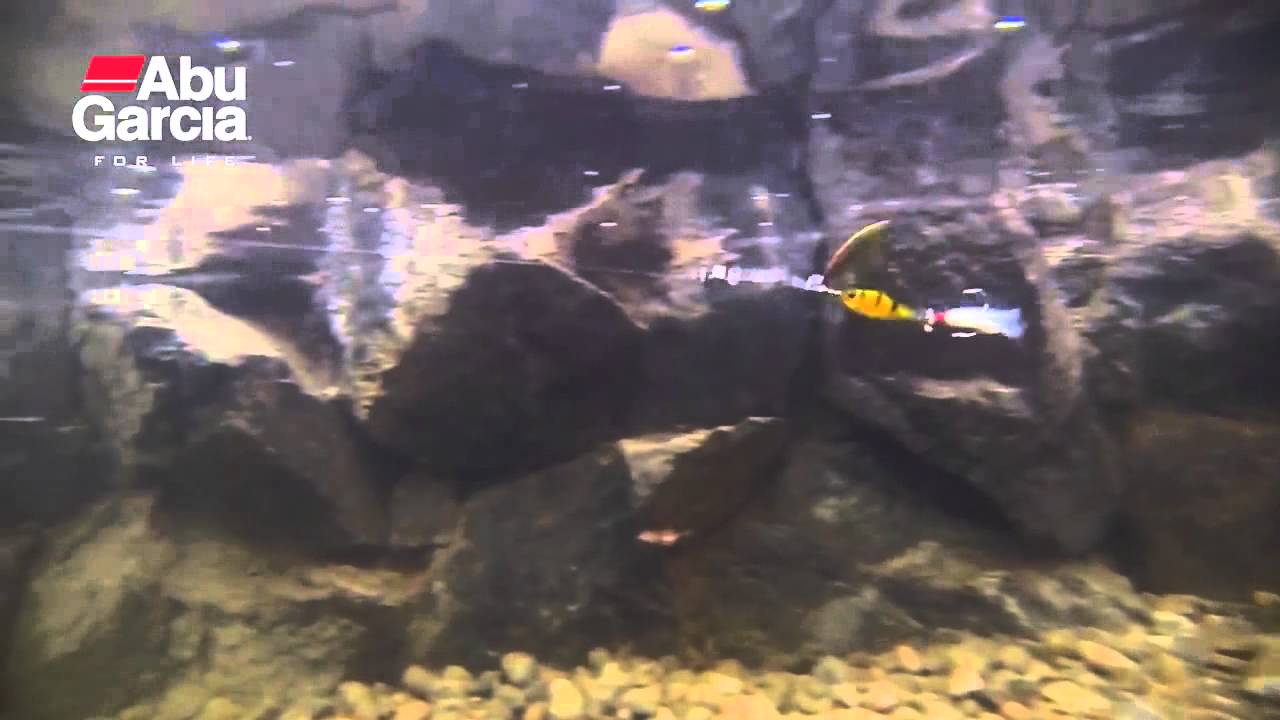 Abu Garcia Active Spinner swimming action