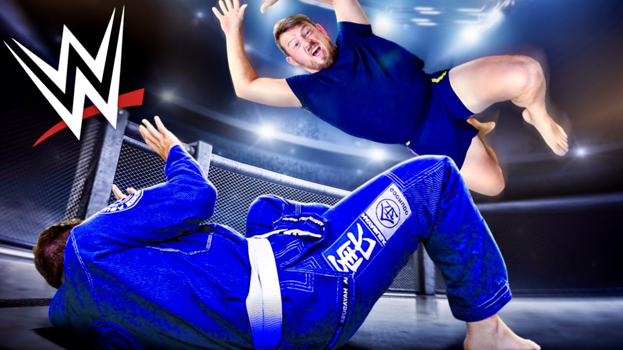 Могу ли я использовать приемы WWE против ММА?