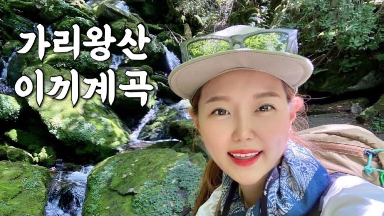 [Hiking] 강원 정선 가리왕산 등산 | 나홀로 한국 최고 원시림의 신비로운 이끼계곡 트레킹 | 장구목이골의 9개의 시원한 이끼폭포 | 거대한 주목군락지 | 산림청 100대명산