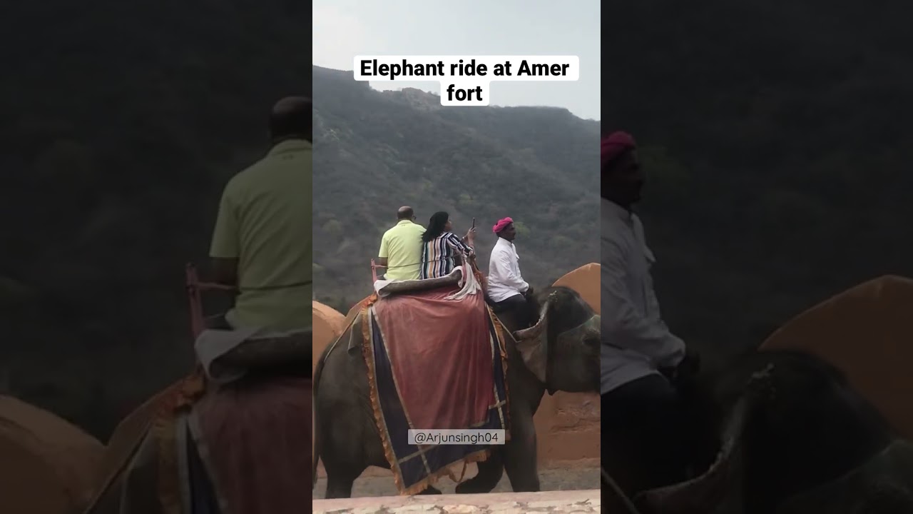 Elephant ride at Amer Fort Jaipur || @ExploreWithArjunYT #jaipur #amerfortjaipur #viral #rajasthantourism