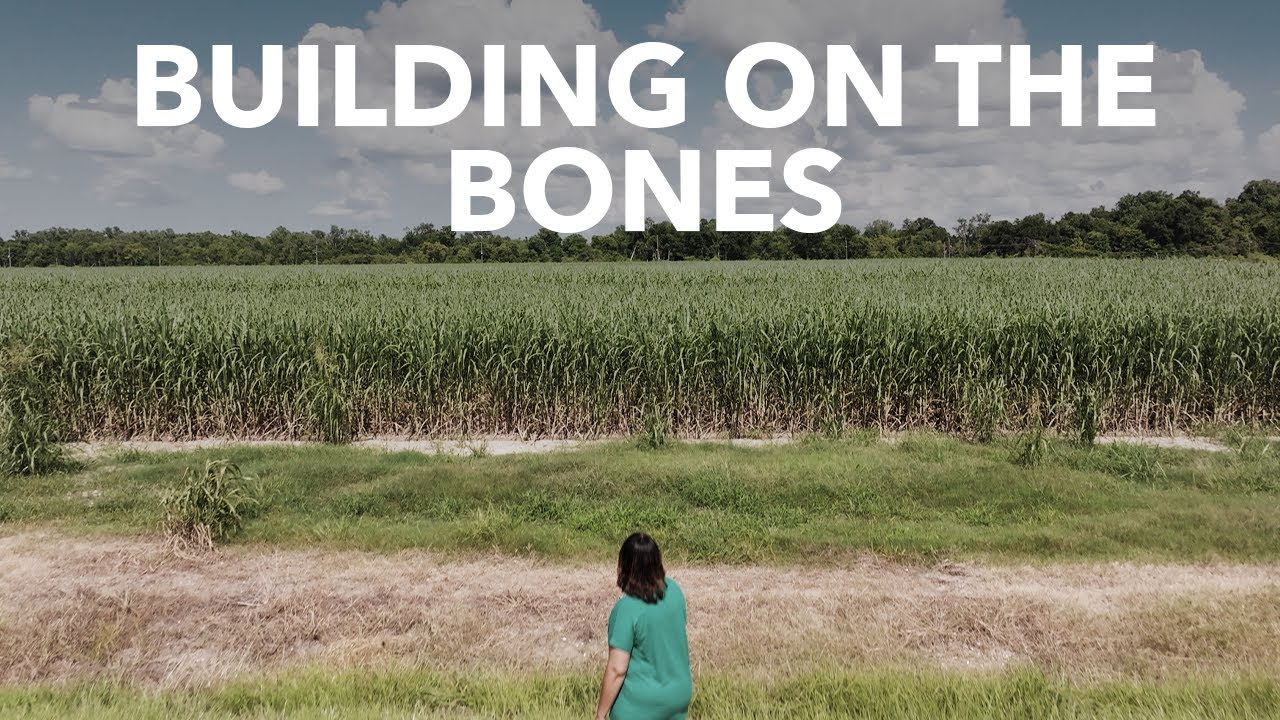 First: Plantations. Now: Pollution. This is the Story of Petrochemical Expansion.