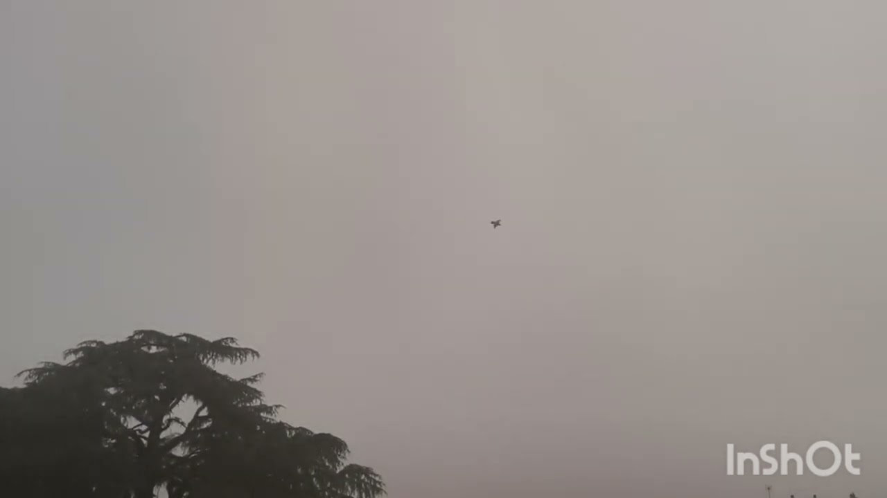 Orage matinal avec impact proche ! Le 5 Juillet 2025 à Tarbes