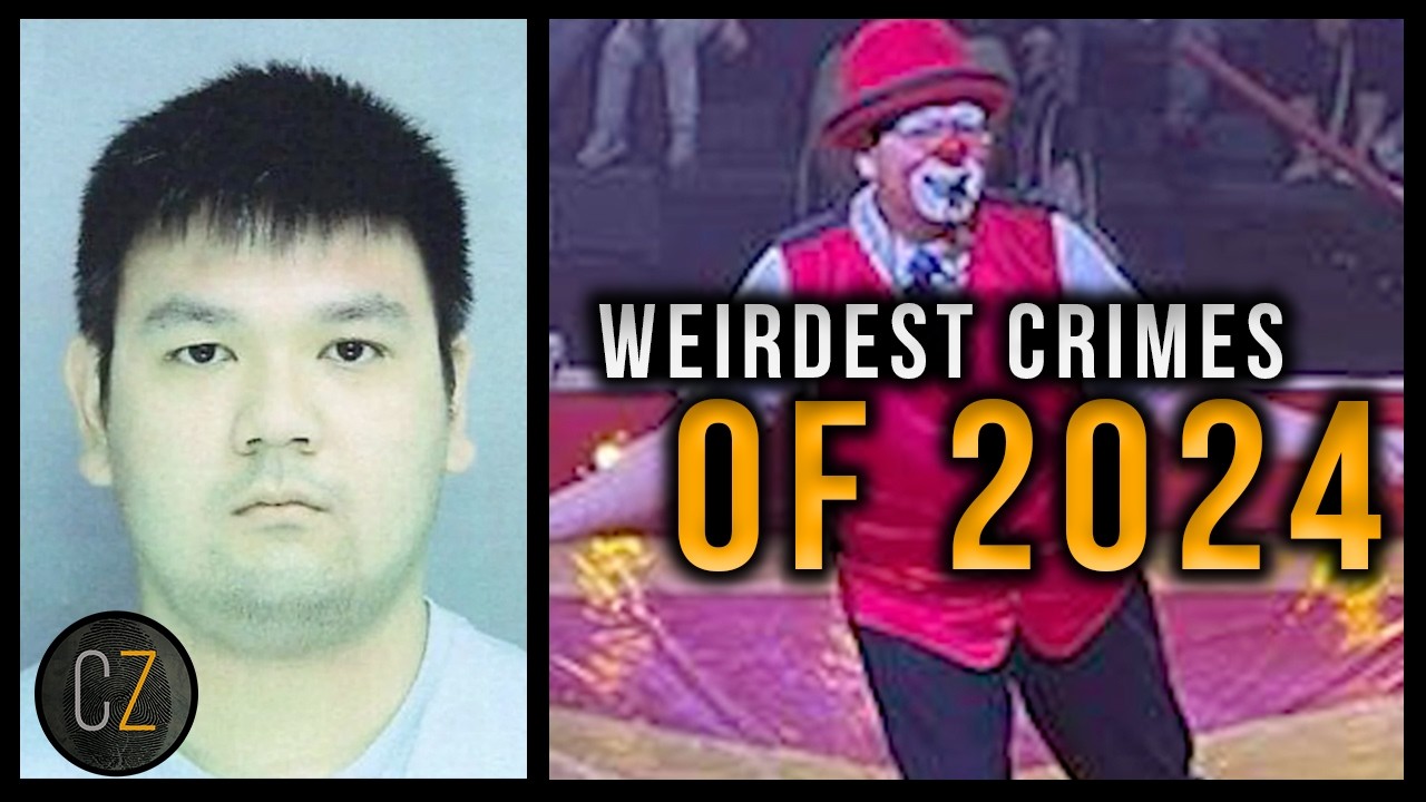 Weirdest Crimes Of 2024