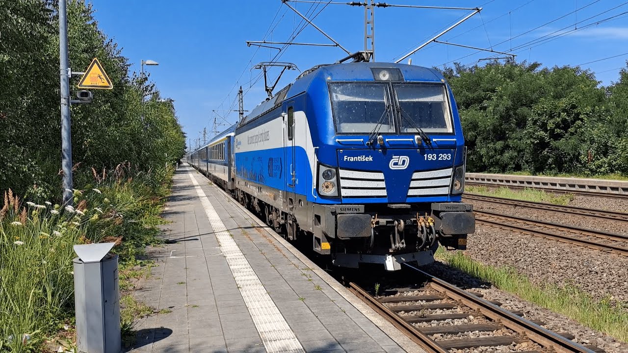 Züge in Büchen (30/07/2024)