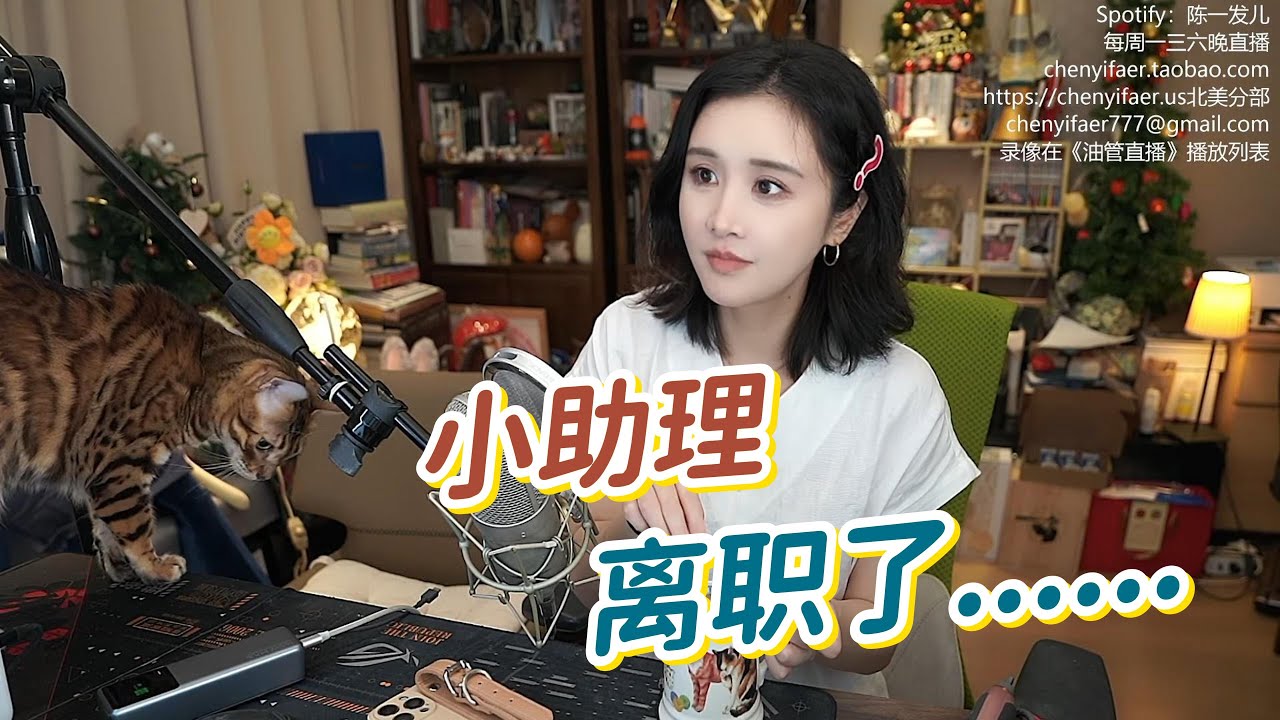 小助理深夜提出离职，陈一发儿直播做出回应