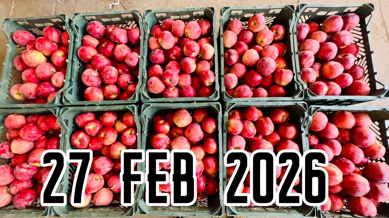 Karachi Sabzi Mandi 27 Feb 2026 rates today| Karachi Fruit Mandi rates todayKarachi 