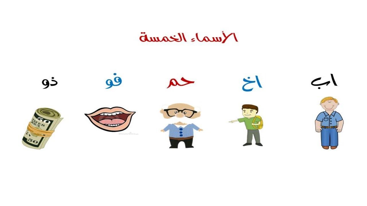أجمل شرح درس (  الأسماء الخمسة  ) الصف السادس الابتدائي الترم الثانى نحو
