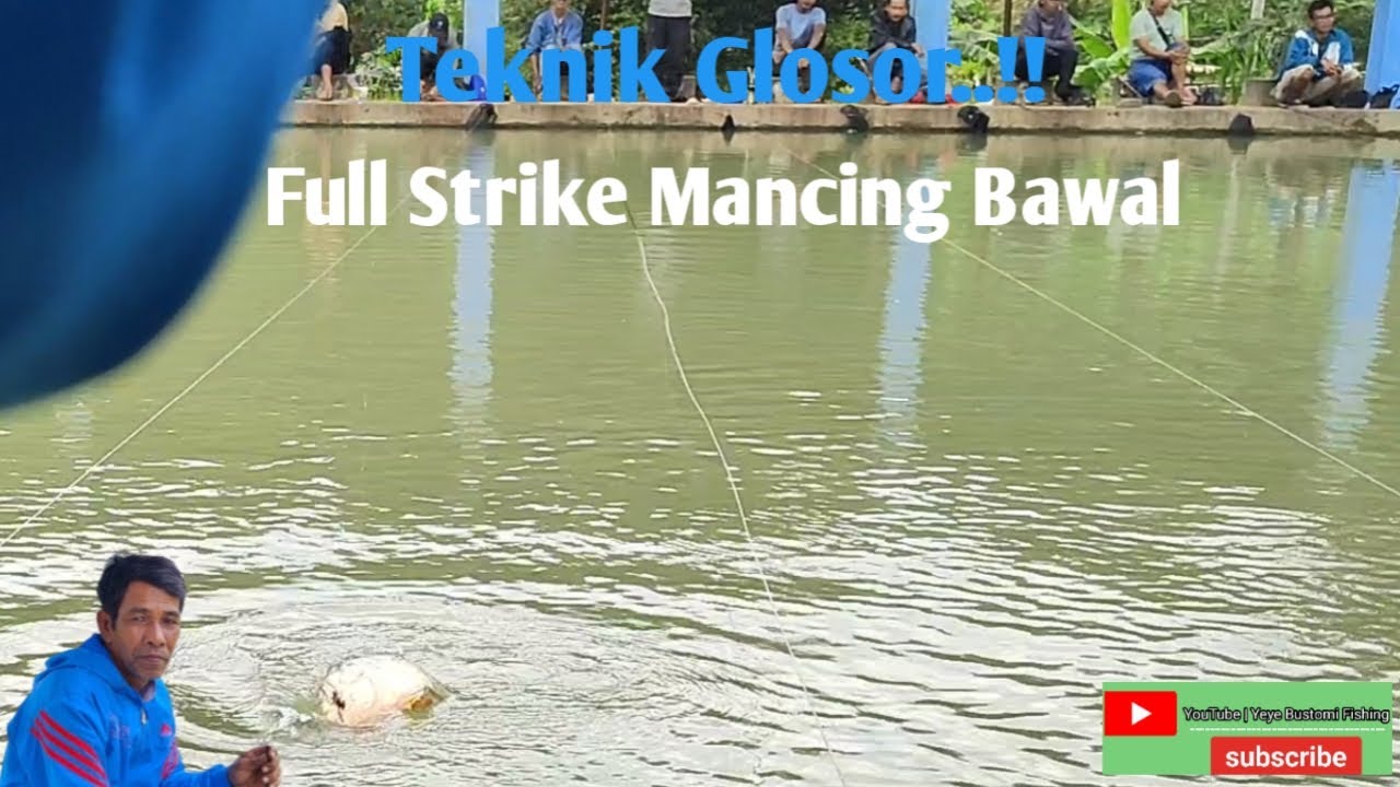 Teknik Glosor..!! || Full Strike Mancing Bawal