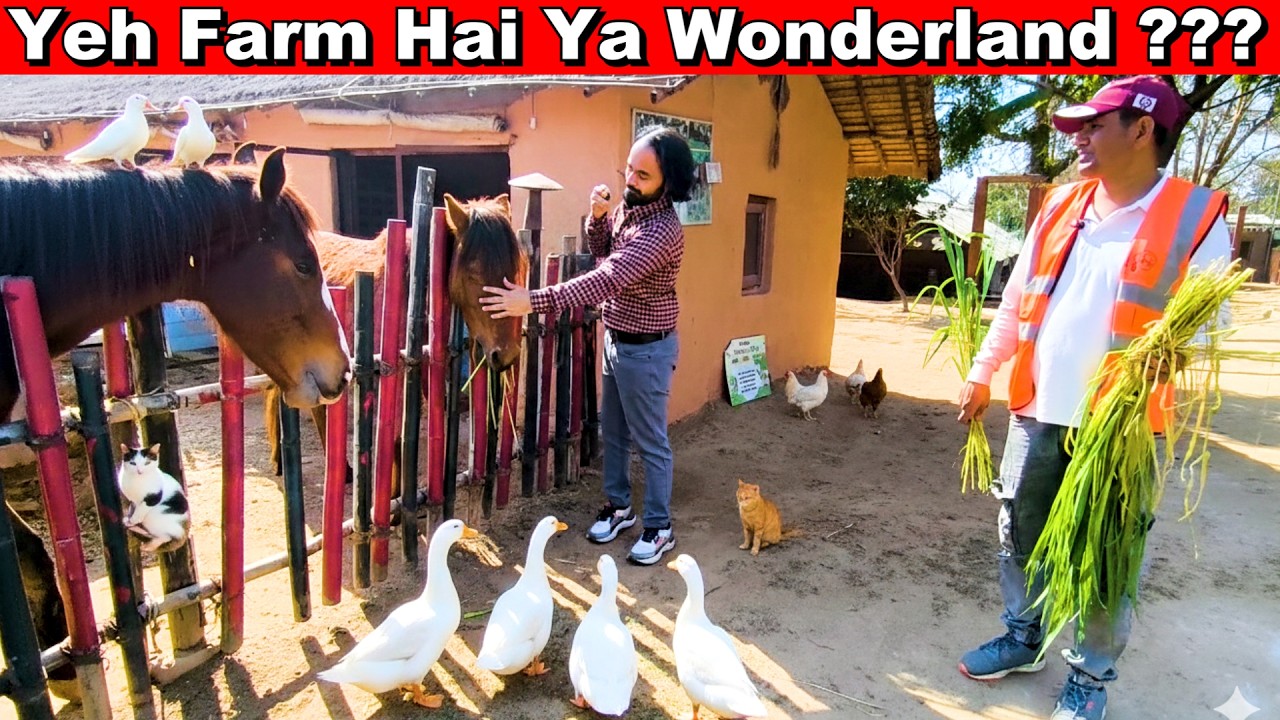 Aisa Farm Pehle Kabhi Nahi Dekha! 🐿️ Gurgaon Hidden Gem #KidsFarm #DelhiNCR #HiddenGem