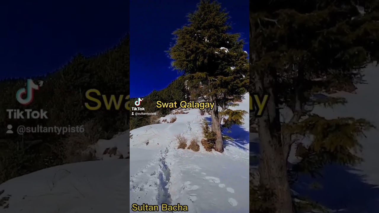 #swat #qalagay #viral #video