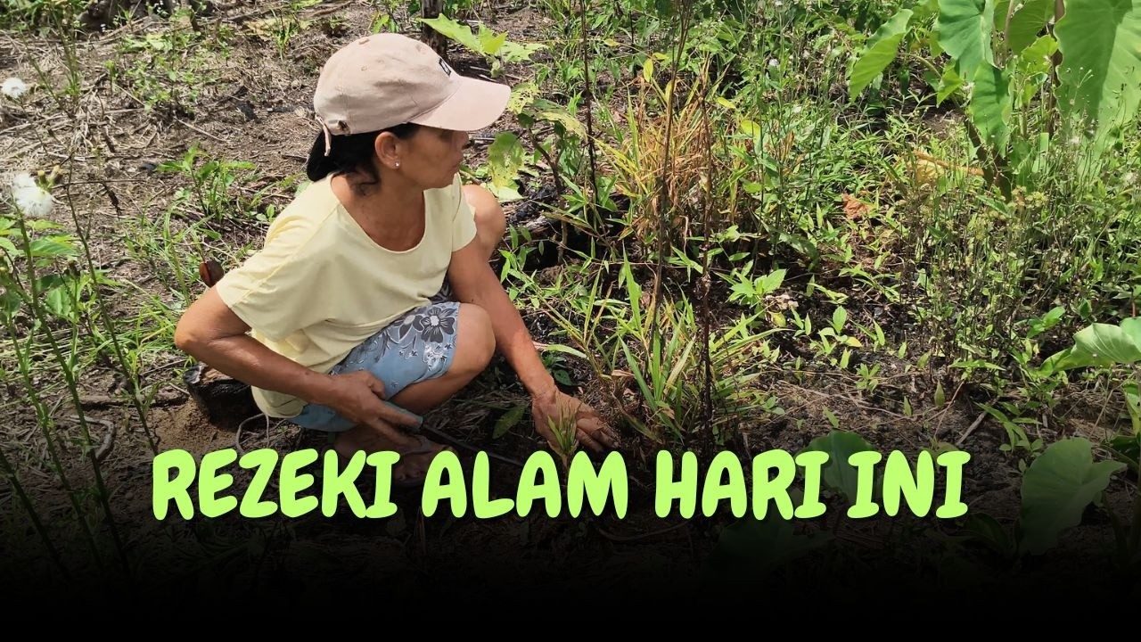 Episode 6:GAK NYANGKA! Sayur & Bumbu Lengkap di Alam