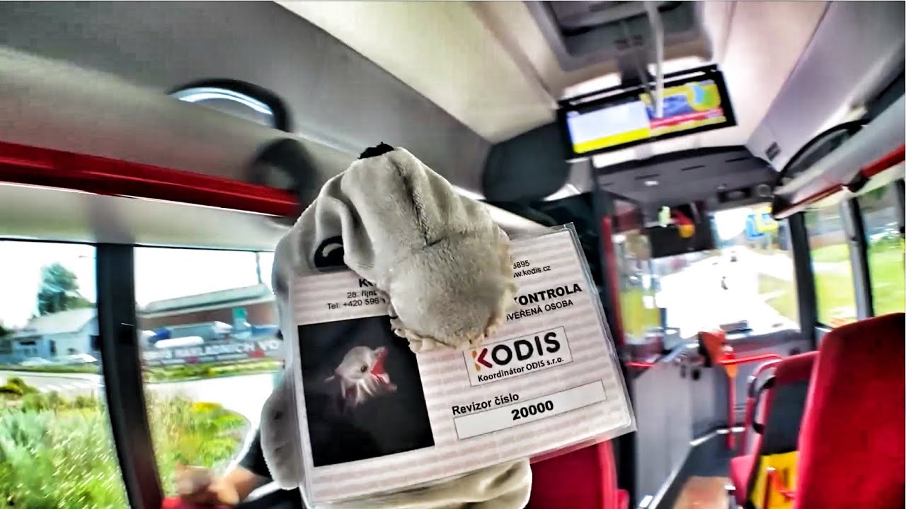 REVIZOR ADOLFEEN UNESL PŘÍMĚSTSKÝ AUTOBUS
