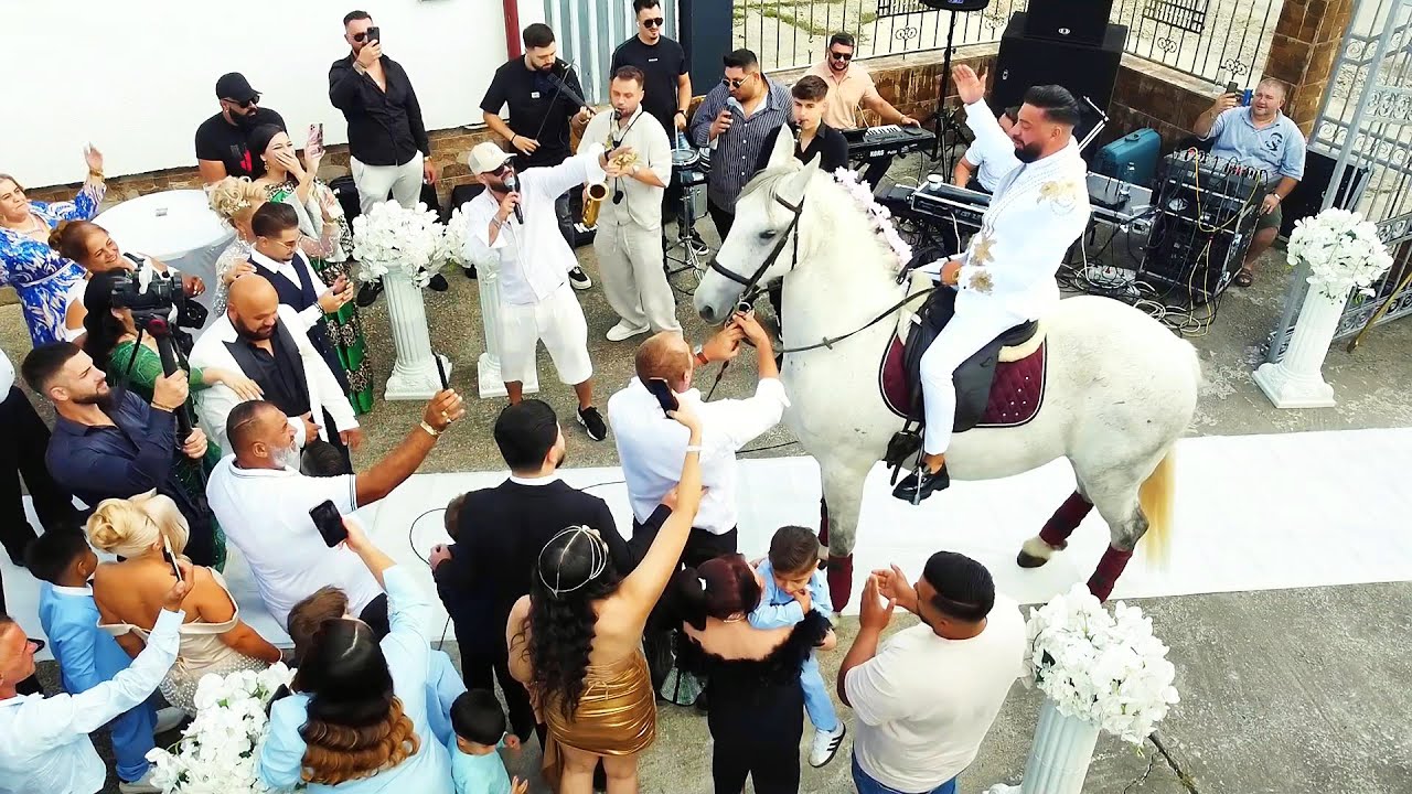 Dedicații fără număr pentru Sergiu Demian și calul lui alb-Denis Spaniolu-Nuntă 2025 💖💎🐴🎼