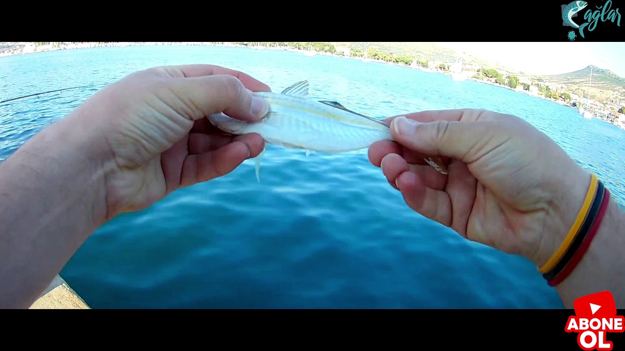 Eski Fo&ccedil;a LRF ile istavrit avı... horse mackerel fishing with LRF in Phokaia