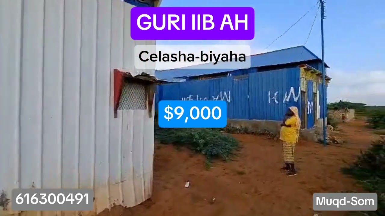 BACWEYNE JAANISA: CEELASHA-BIYAHA JABAD-GELLE | whatsapp: +252616300491 |