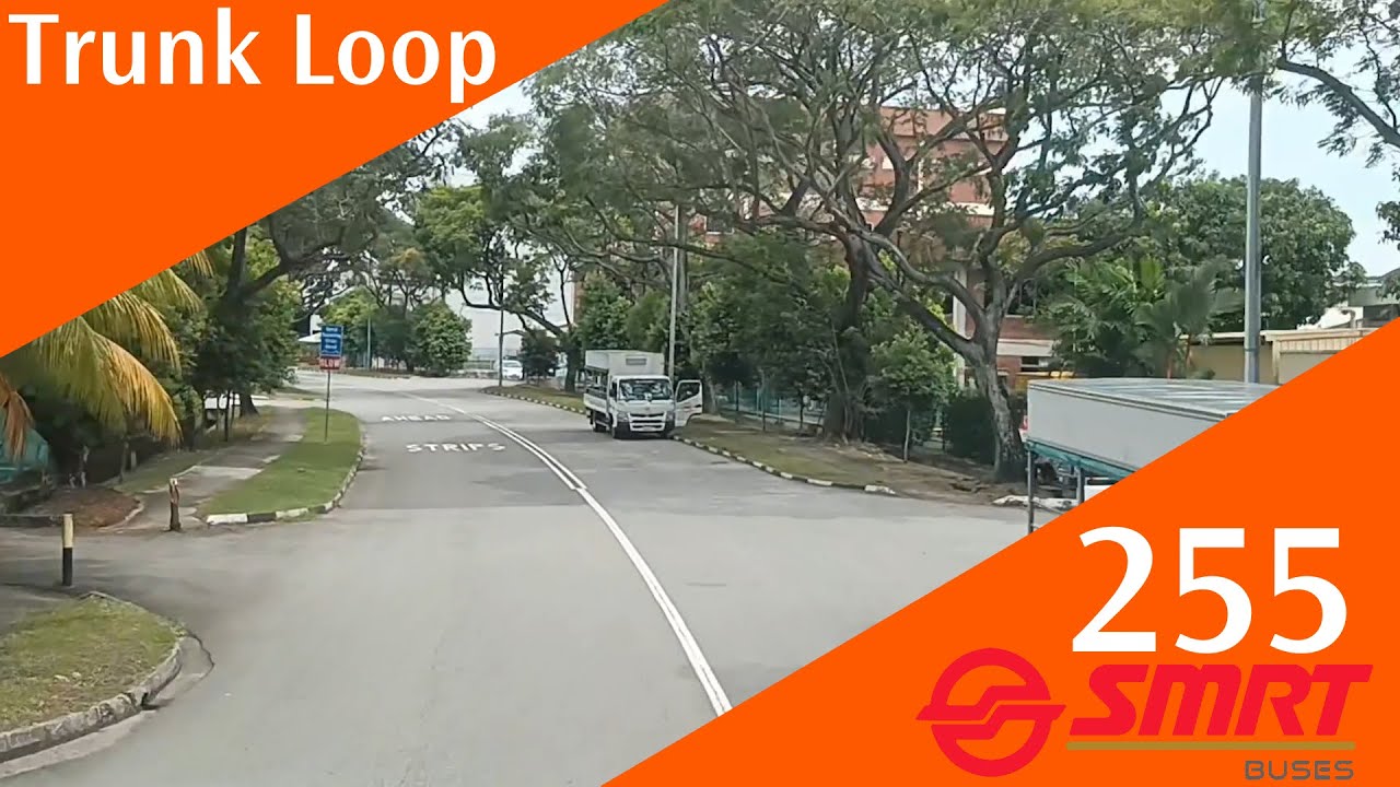Singapore SMRT Buses Trunk Bus Service 255 Route Visual