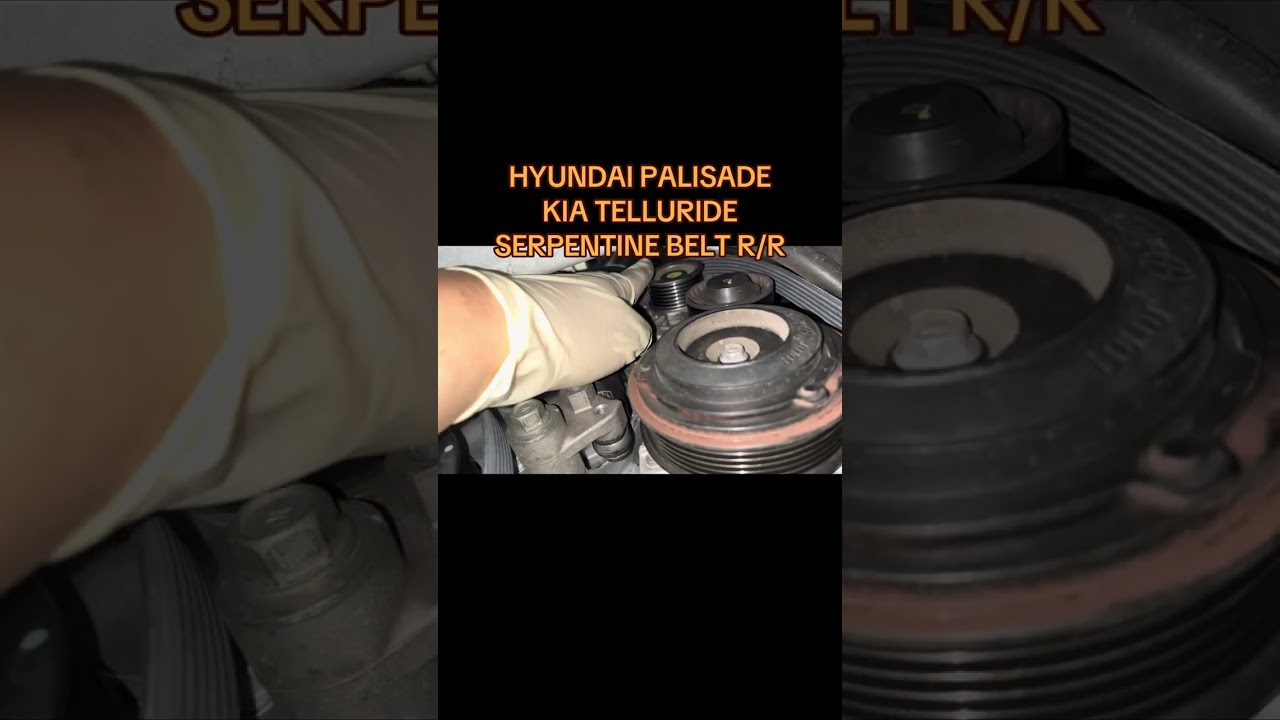 HOW TO: Replace serpentine belt on a HYUNDAI PALISADE or KIA TELLURIDE with 3.8 LAMBDA engine. #fypシ