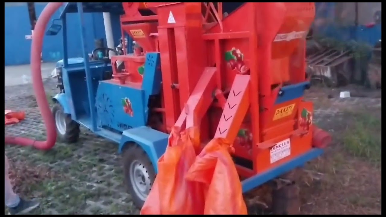 Patpatoz Mini Fındık Patozu ile Fındık Dövme işlemi