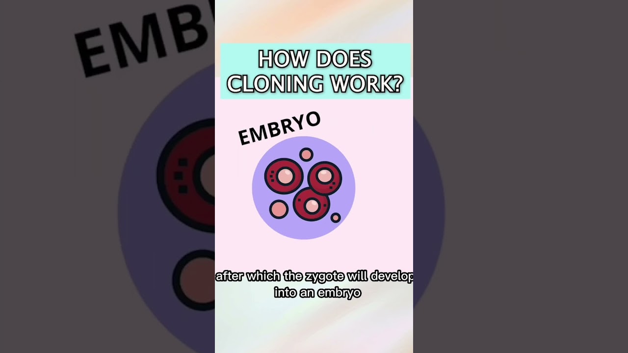 How could you clone a person? #biotech #cloning #stem