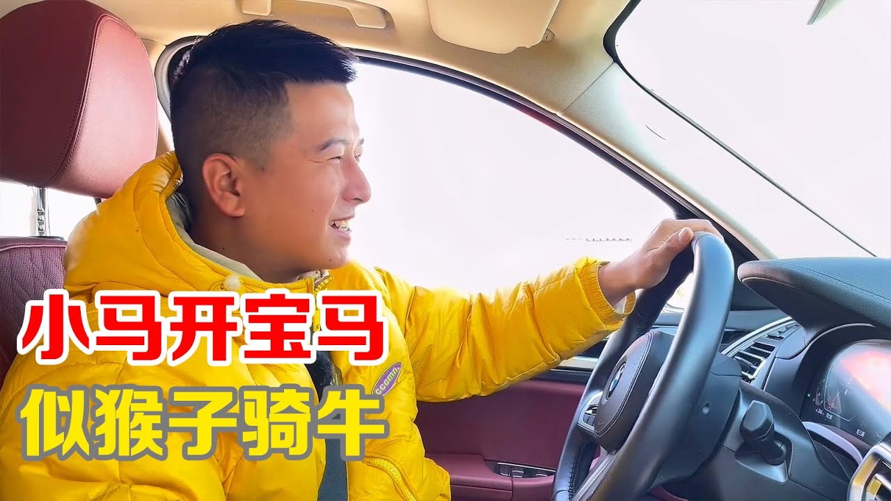 小马开宝马闪亮登场，却像是猴子骑在笨牛身上，气质跟不上【小马行九州】