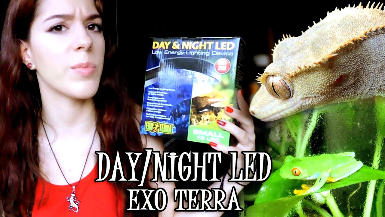LÁMPARA DAY / NIGHT LED EXO TERRA | Review dR y GeckoLandia