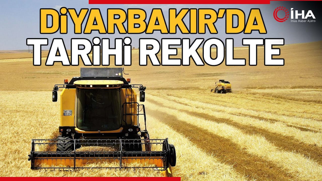 Çiftçinin Yüzü Güldü: Hububat Hasadı Devam Ediyor