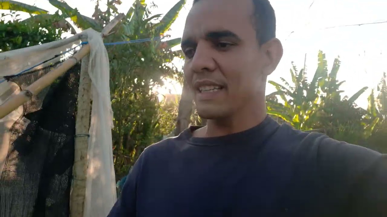 Hidroponia sem cobertura