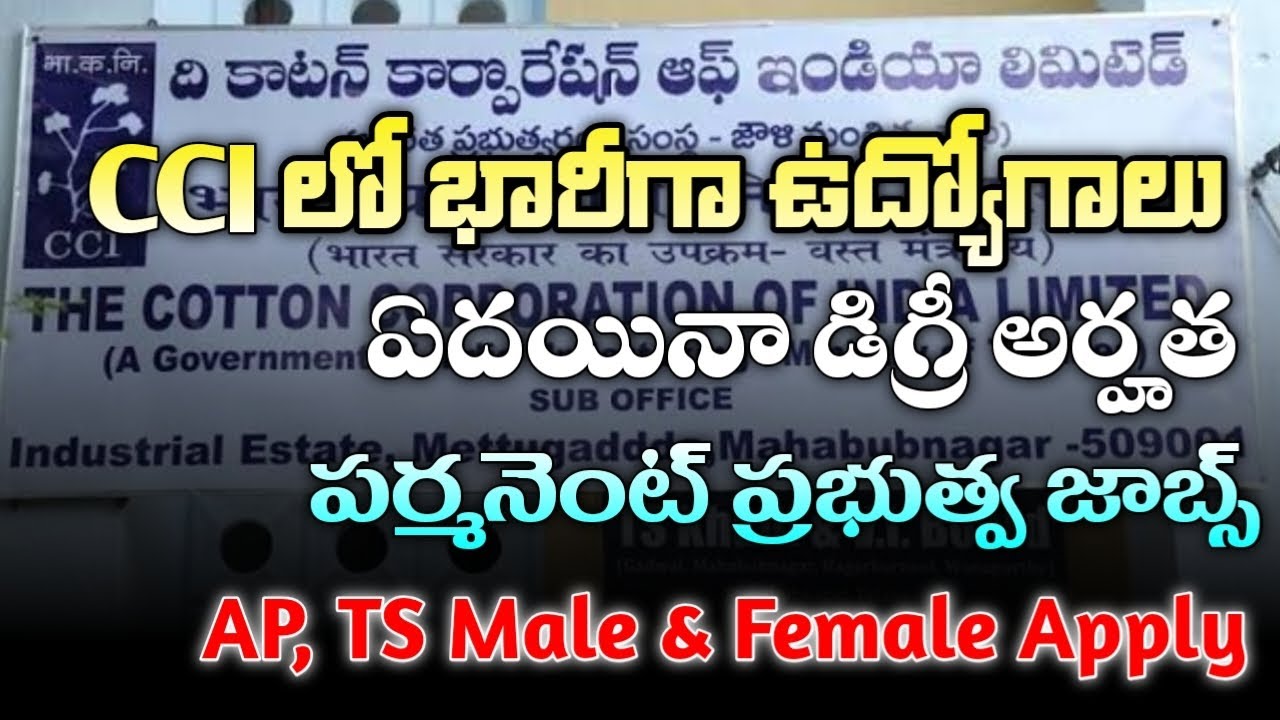 కాటన్ కార్పొరేషన్ లో భారీగా ఉద్యోగాలు | CCI Recruitment 2025 | CCI jobs 2025 | Govt Jobs