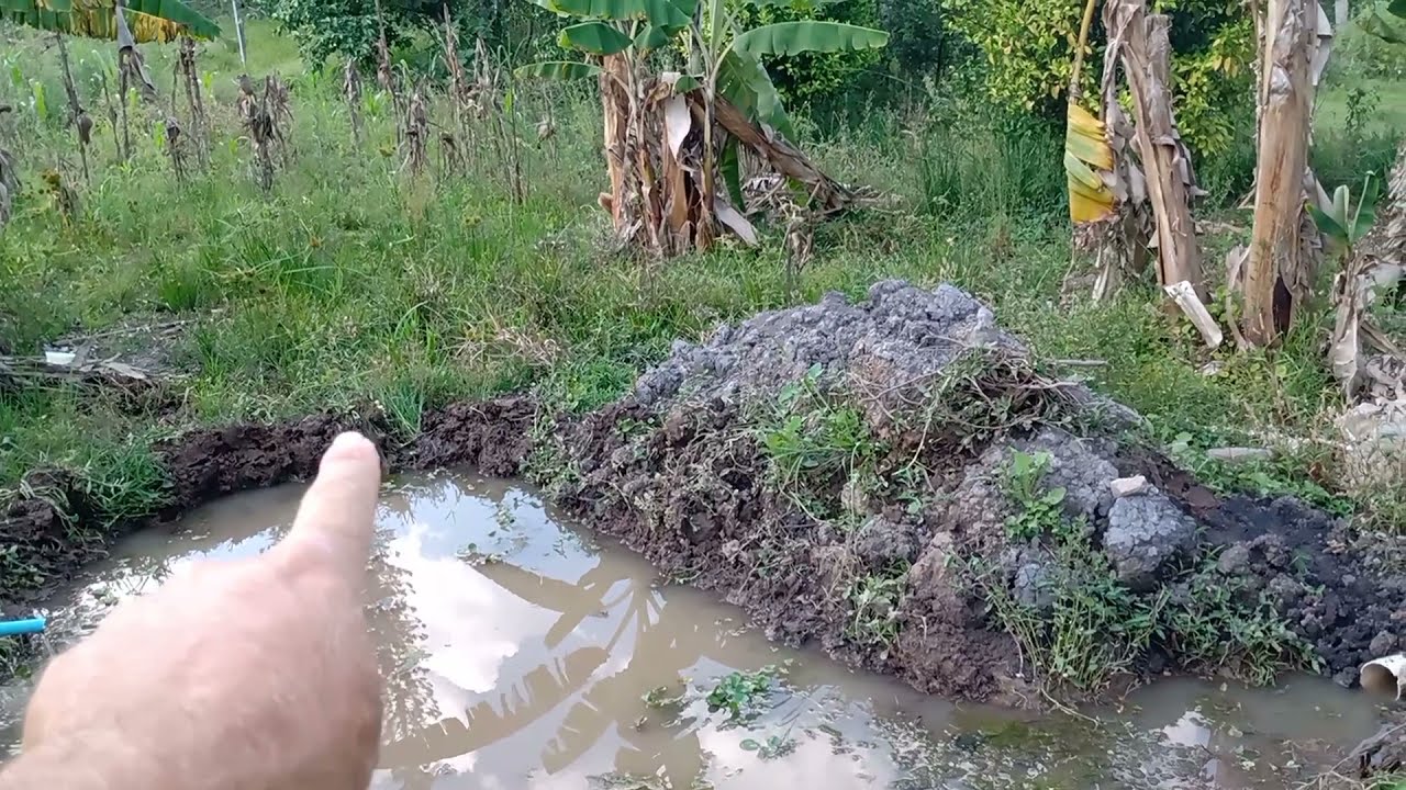 fazendo a manutenção do nosso pequeno lago