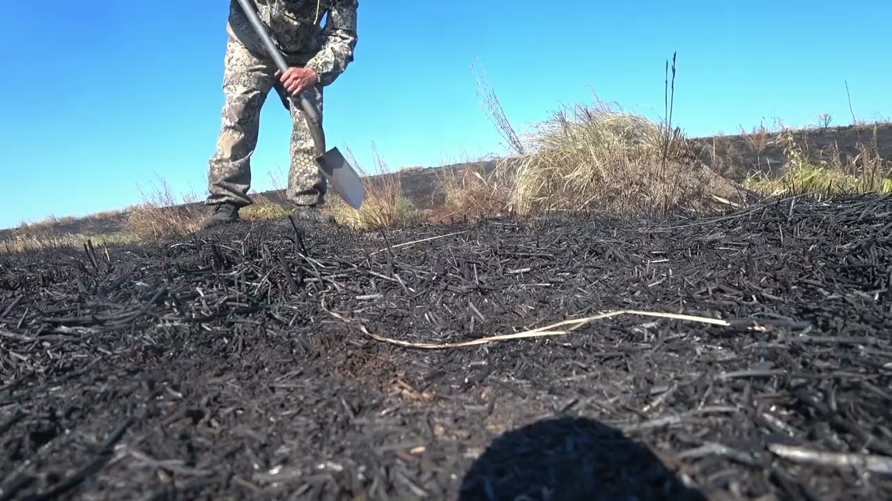Коп по выженной степи