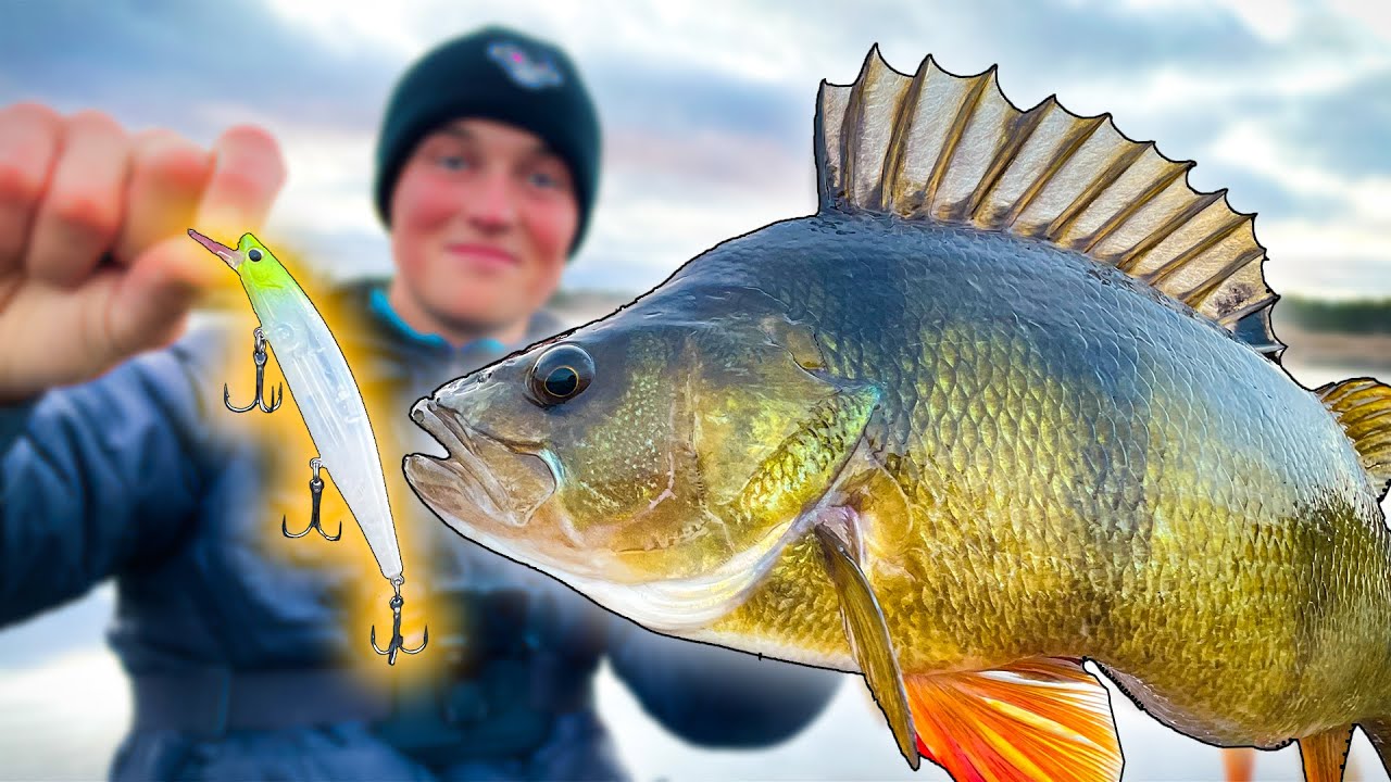 Крутой Крэнк От Shimano - Сара И Эдвин Ловят КРУПНОГО ОКУНЯ | Team Galant