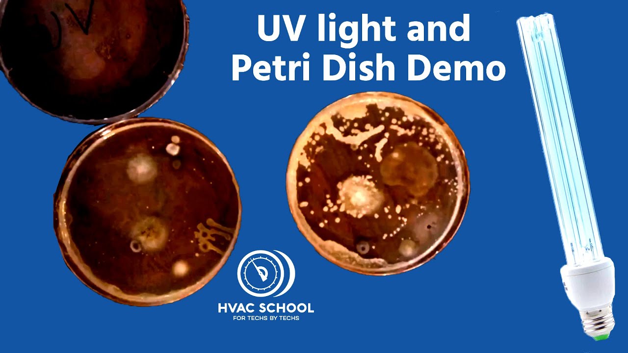 UV light and Petri Dish Demo