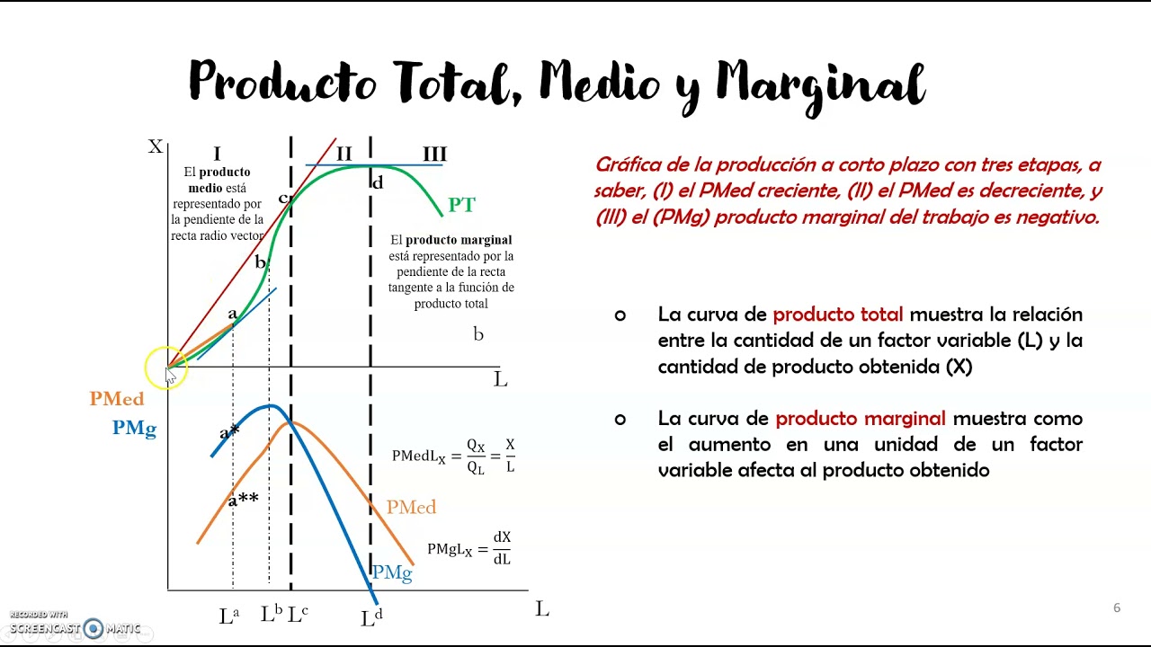 Tema 4.1 - Producto Total - Producto Medio y Marginal