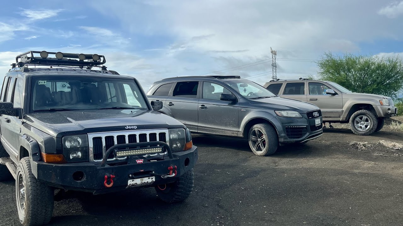 Quattro vs Quadra Drive II