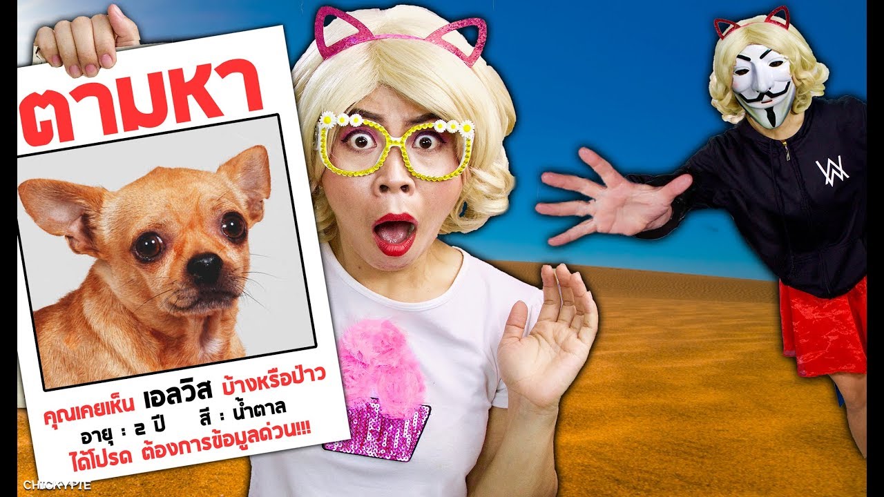 หมา ชิคกี้พาย หาย!!!  คนใส่หน้ากากเอาตัวเอลวิสไป  | ช่วยด้วย