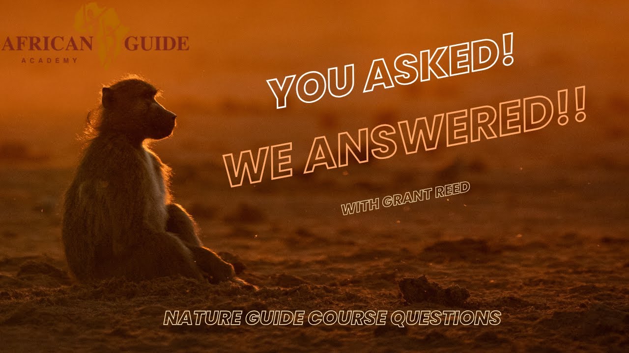 Nature Guiding 101: Top Questions Answered at Kwapa