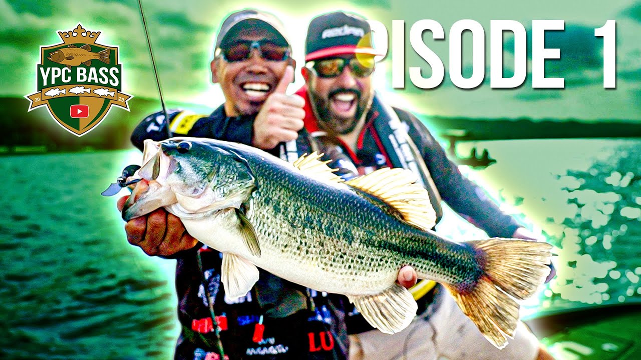 Bass Superstars VS Predator Experts | YPC BASS 2023 Episode 1