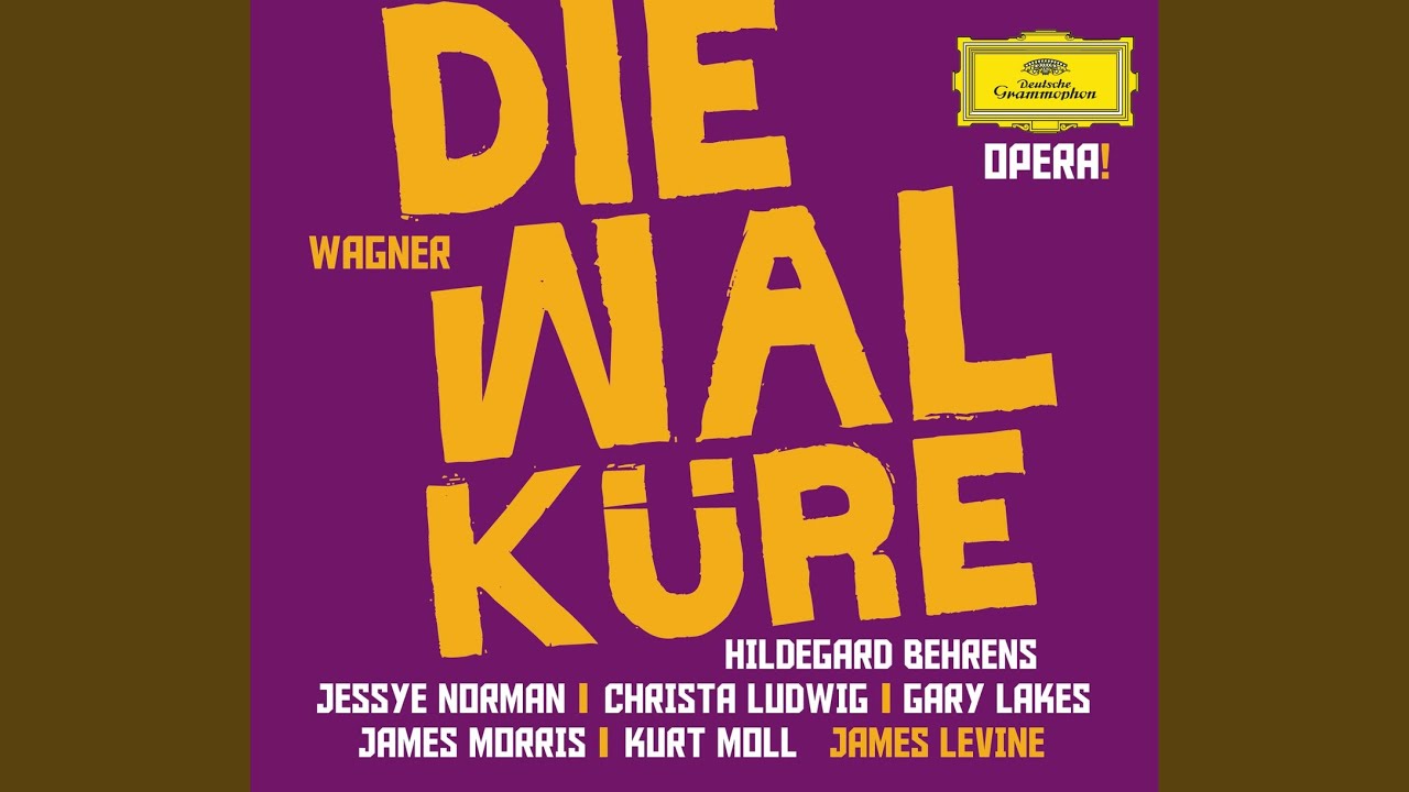 Die Walk&uuml;re, Act III Scene 2: Hier bin ich, Vater &ndash; Wehe! Weh!