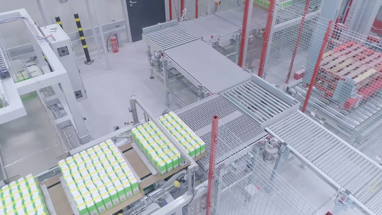 Tray Erector and Palletizing onto Düsseldorf Pallet