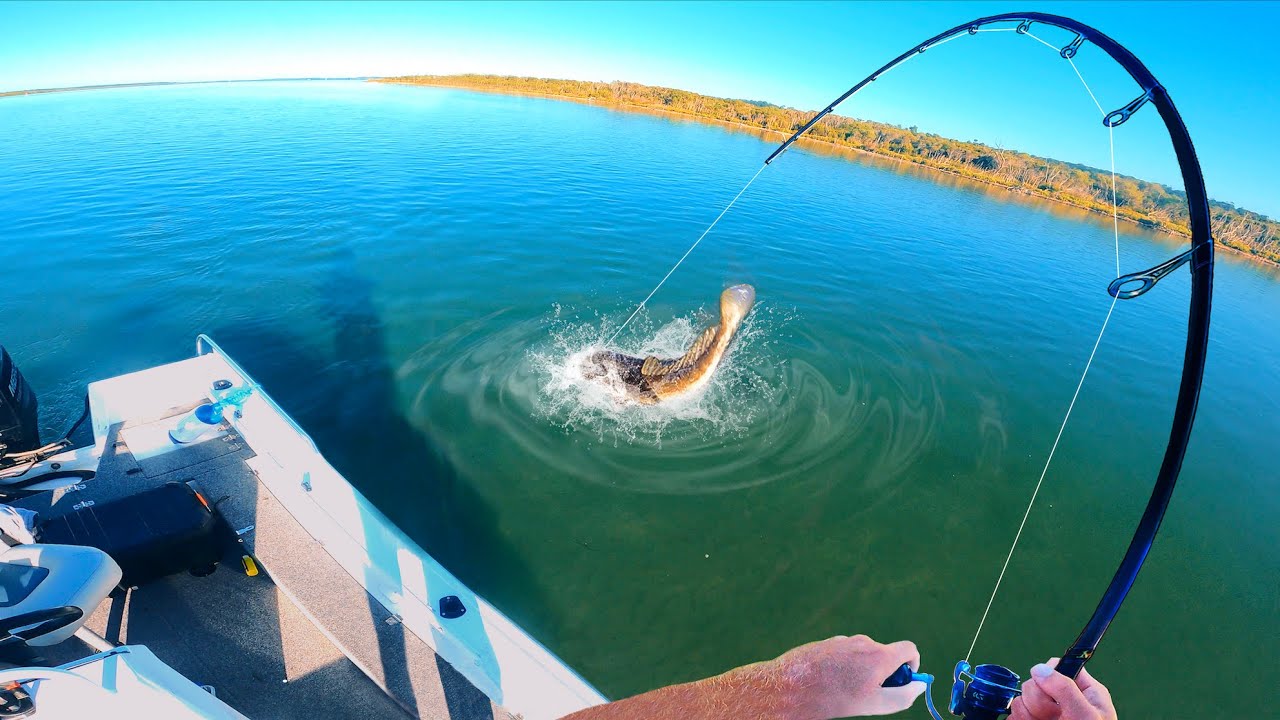 This is Why You Should Always Fish in Shallow Water!!